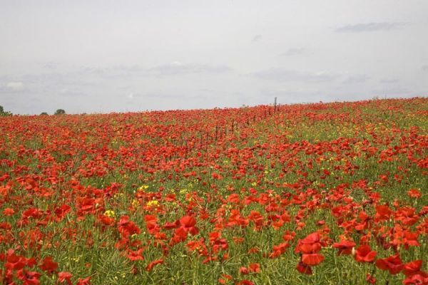 North Oxfordshire 